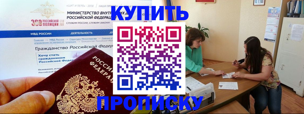 прописка 2025 в Димитровграде
